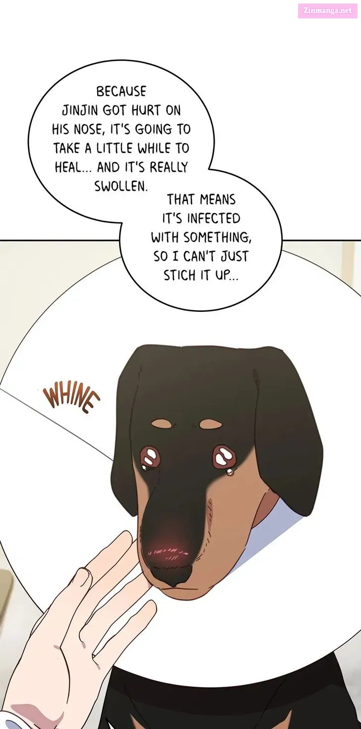 An Animal Hospital In The Border Area Chapter 116 page 44 - MangaNelo