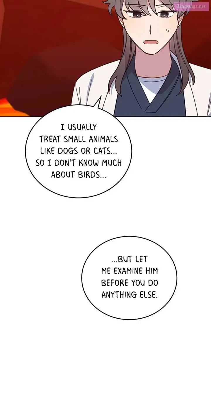 An Animal Hospital In The Border Area Chapter 120 page 28 - MangaKakalot