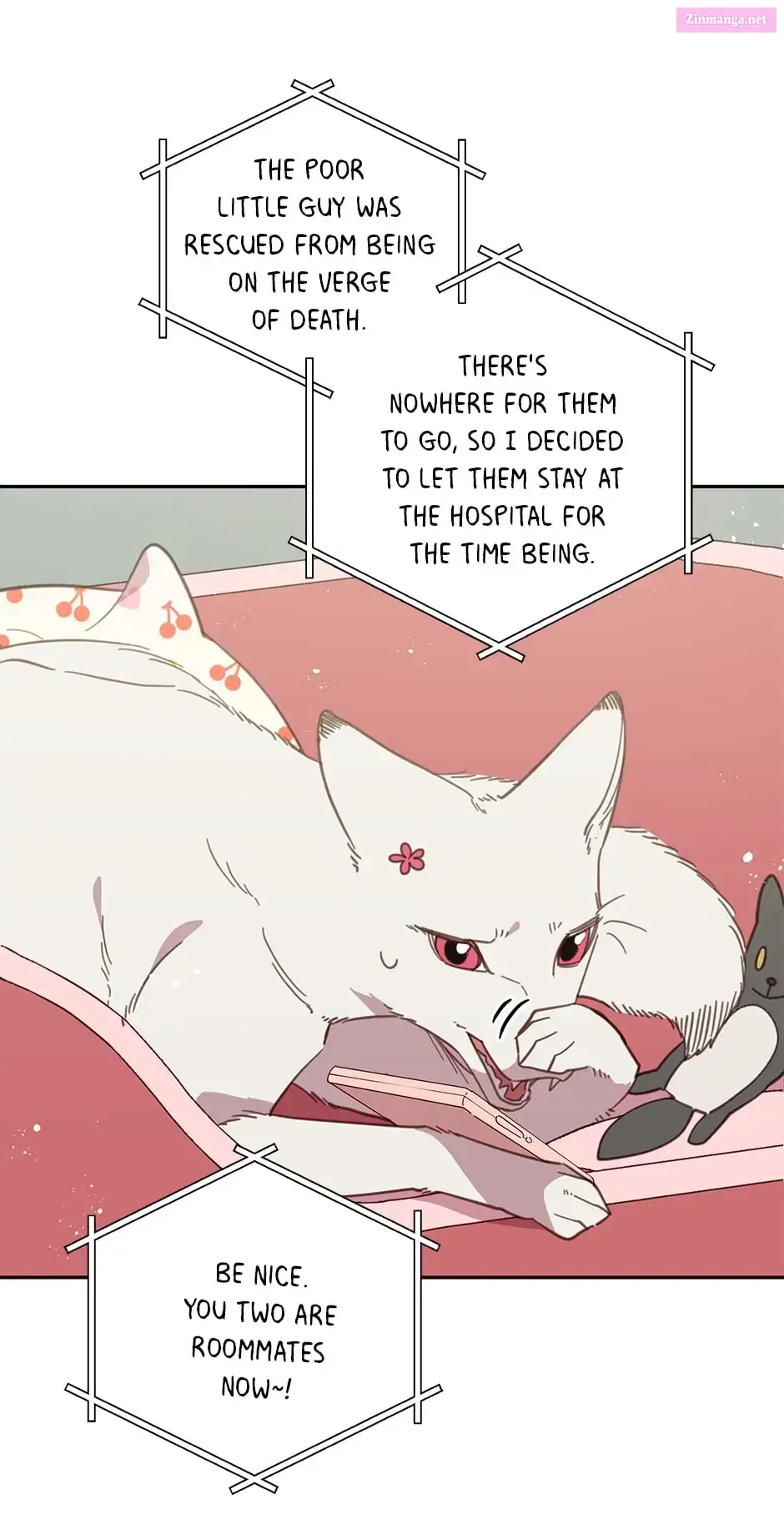 An Animal Hospital In The Border Area Chapter 65 page 23 - MangaKakalot