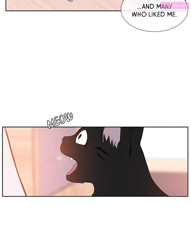 Back to You Chapter 2 page 15 - MangaKakalot