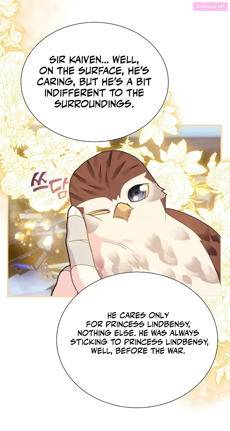 Cavier Falcon Princess Chapter 114 page 80 - MangaKakalot