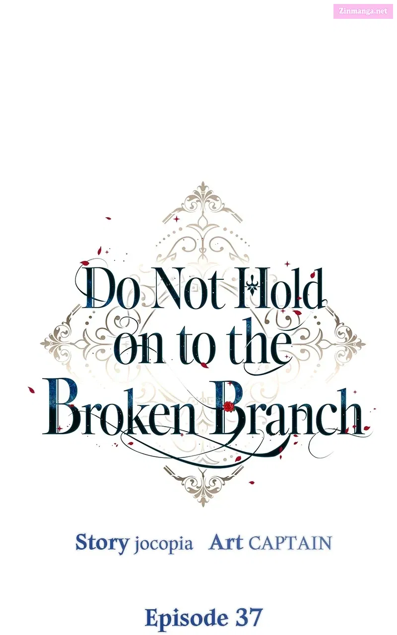 Do Not Hold on tothe Broken Branch Chapter 37 page 13 - Mangabat