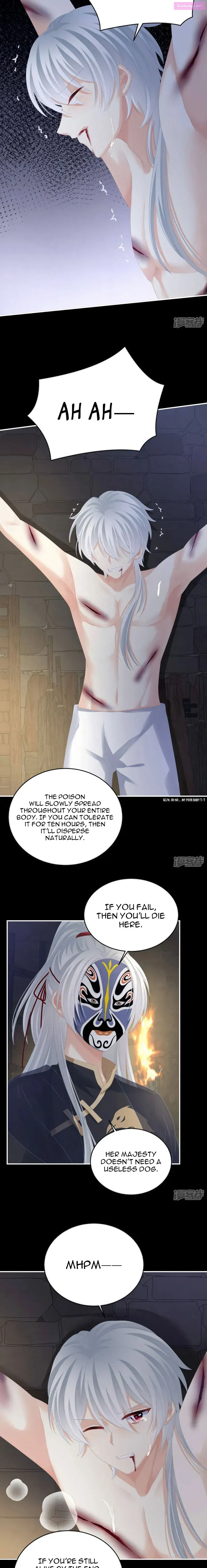 Empress’s Harem Chapter 303 page 6 - MangaNelo