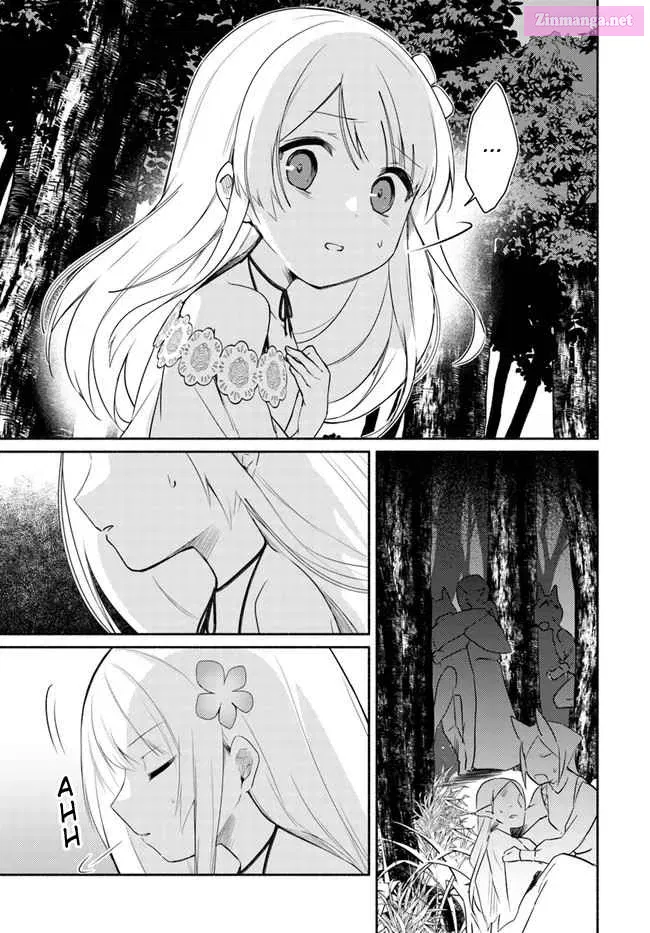 Futago no Ane ga Miko to shite Hikitorarete, Watashi wa Suterareta kedo Tabun Watashi ga Miko de aru. Chapter 14.1 page 9 - MangaNelo