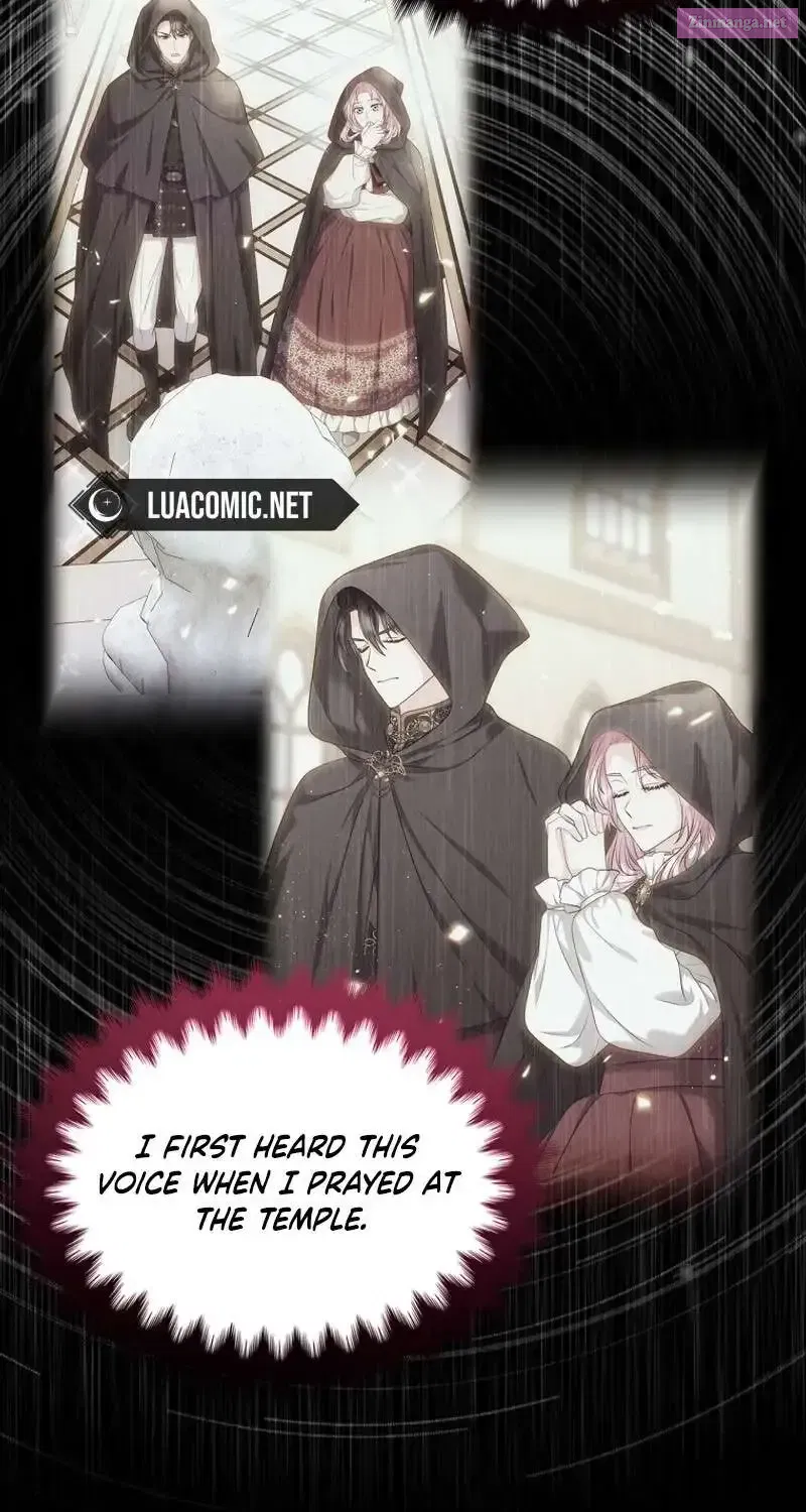 I Will Divorce The Female Lead’s Siscon Brother Chapter 69 page 25 - MangaNato