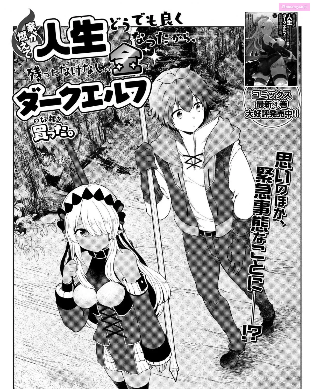 Ie ga Moete Jinsei Dou Demo Yoku Natta kara, Nokotta Nakenashi no Kin de Dark Elf no Dorei o Katta Chapter 19.1 page 2 - MangaNato