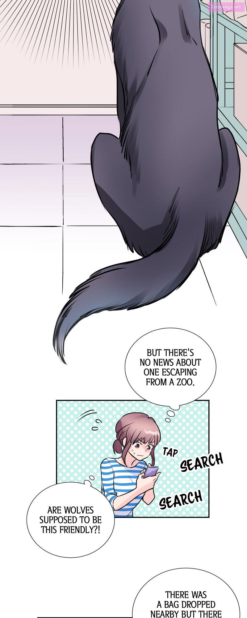 I’m Not Afraid Of Wolves! [Official] Chapter 1 page 36 - MangaNato