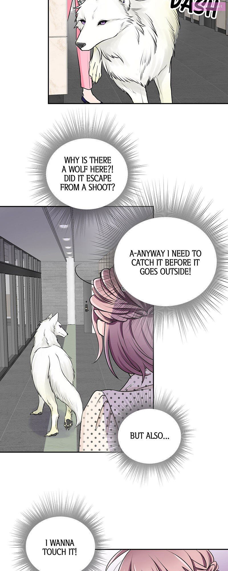 I’m Not Afraid Of Wolves! [Official] Chapter 5 page 22 - MangaNato