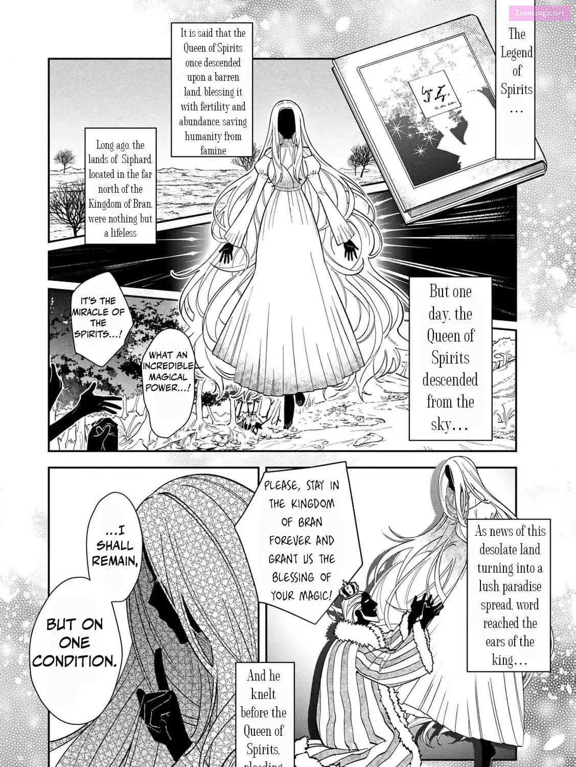 Jiyuu Kimamana Seirei-hime Chapter 1 page 33 - MangaNato