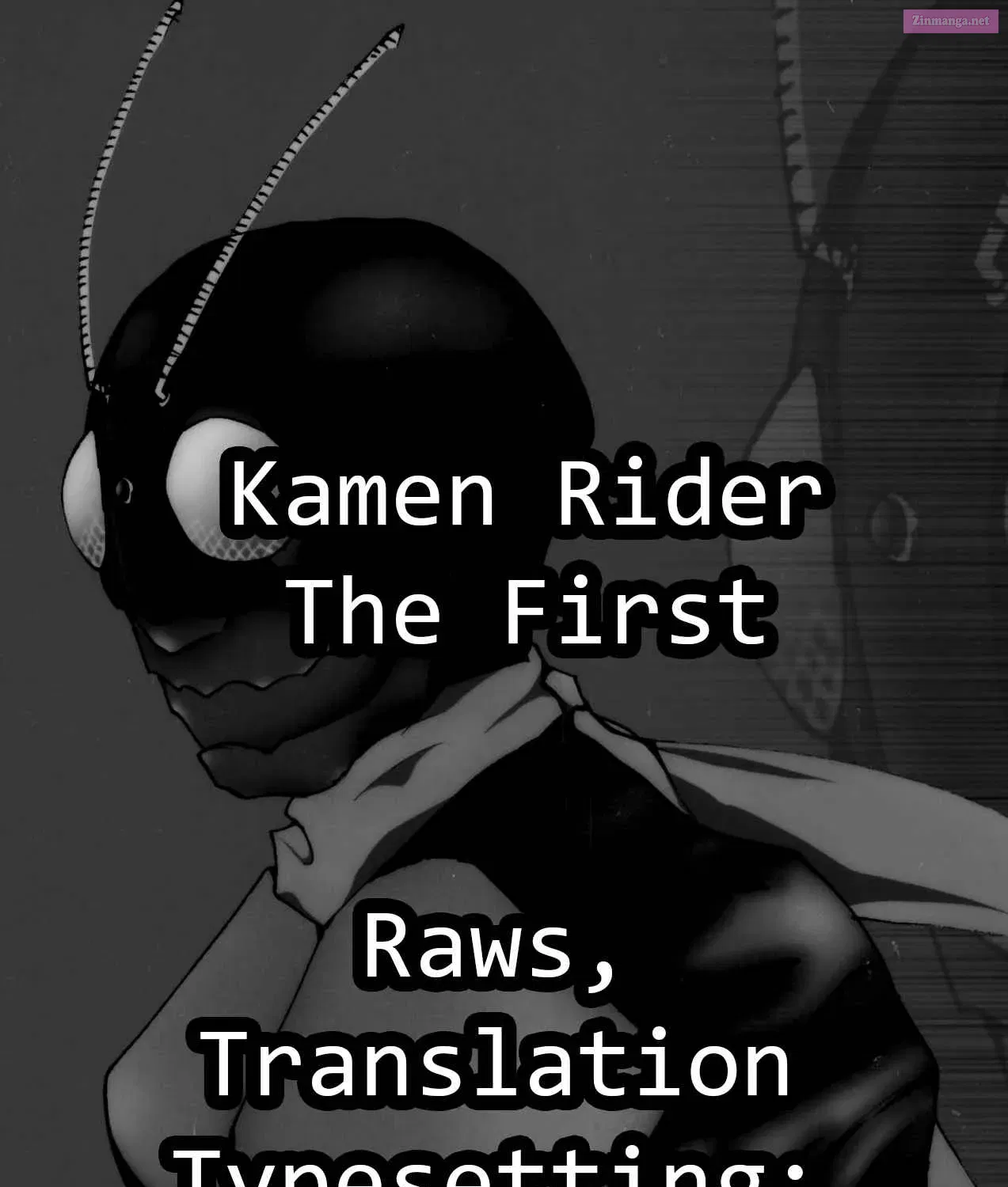 Kamen Rider The First Chapter 0 page 14 - MangaNelo