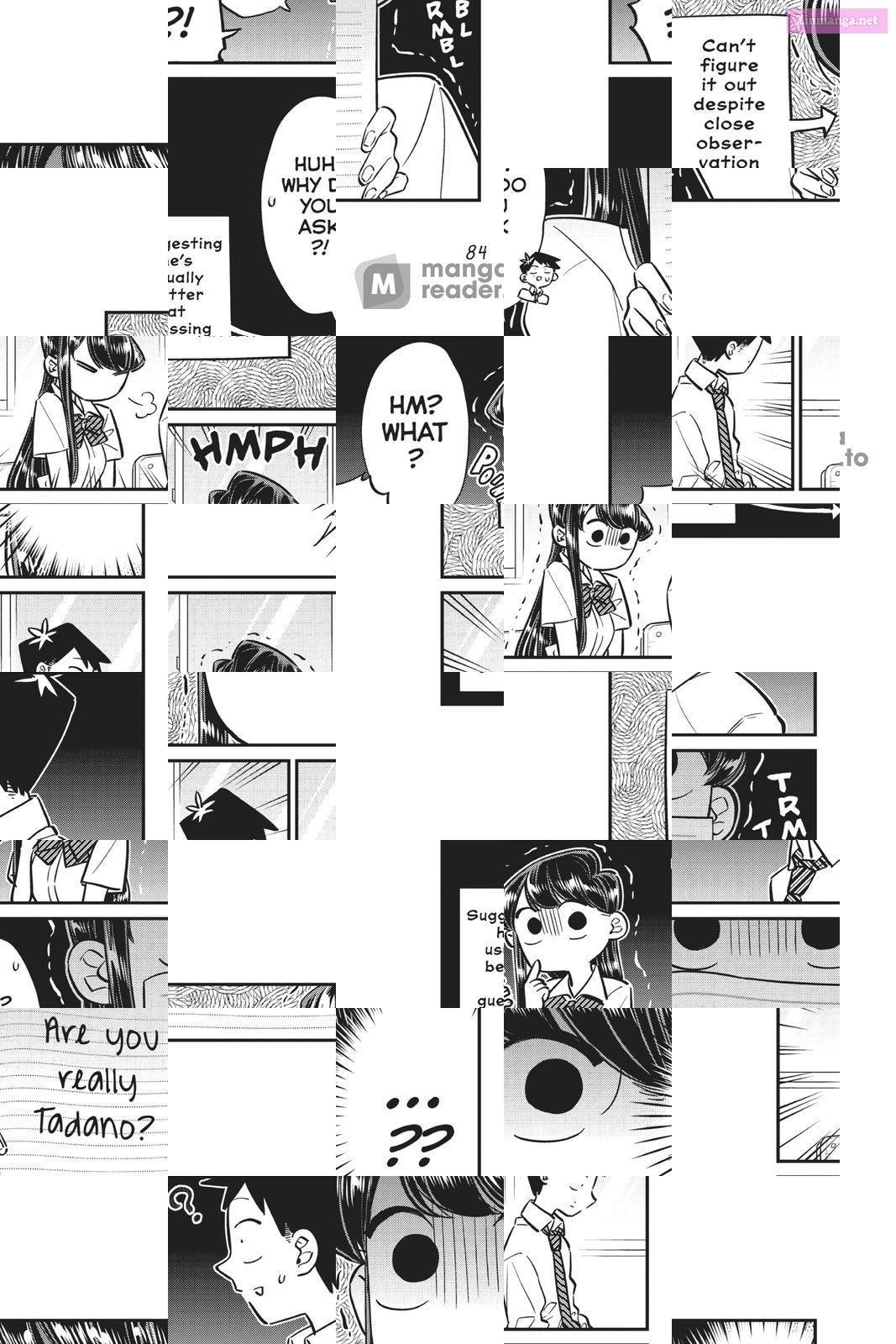 Komi Can