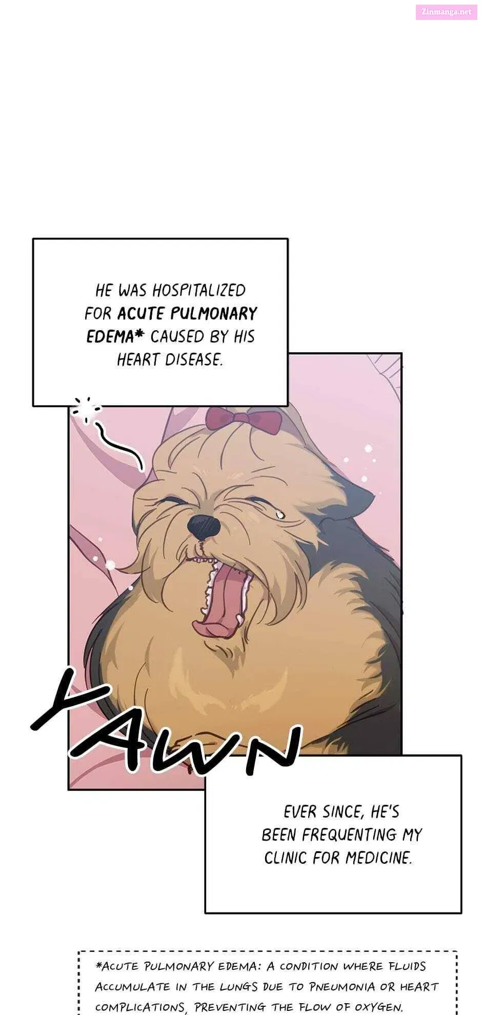 An Animal Hospital In The Border Area Chapter 17 page 11 - Mangabat