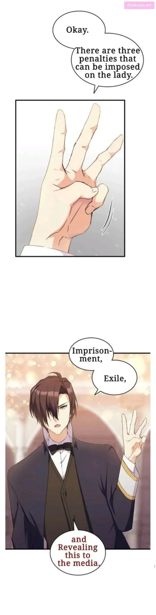 I Tried To Persuade My Brother And He Entrusted The Male Lead To Me Chapter 9 page 25 - MangaKakalot