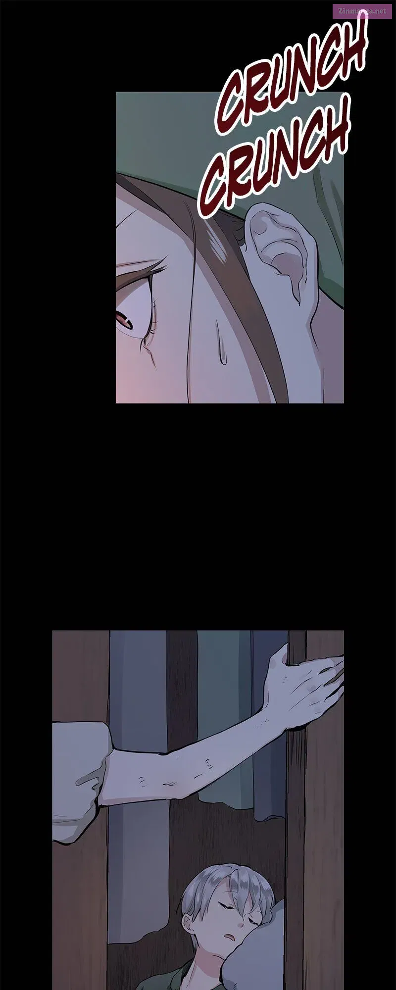 Nulliitas: The Half-Blood Royalty Chapter 16 page 17 - MangaKakalot