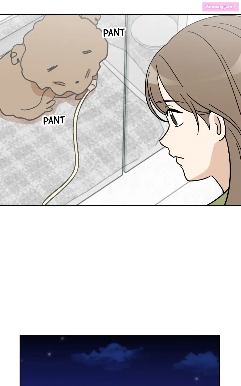 Maru Is A Puppy Chapter 83 page 81 - MangaKakalot