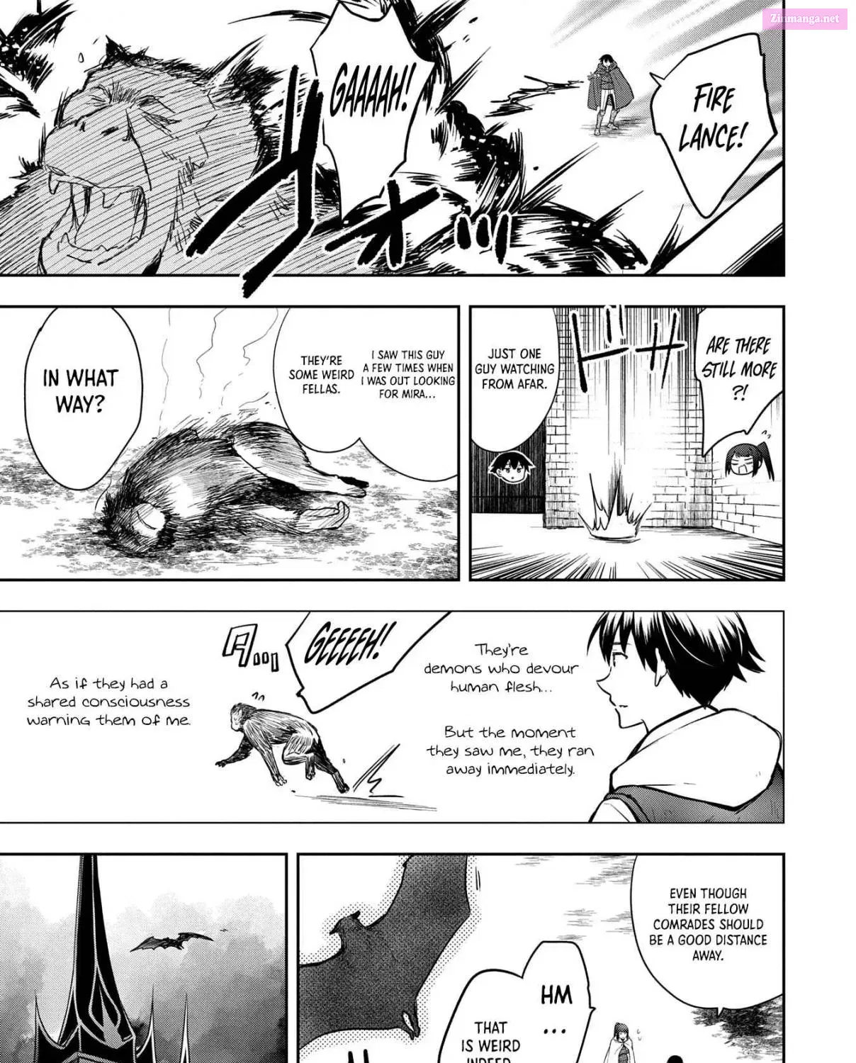 Mushoku no Eiyuu: Betsu ni Skill Nanka Iranakattan daga Chapter 48.1 page 29 - Mangabat