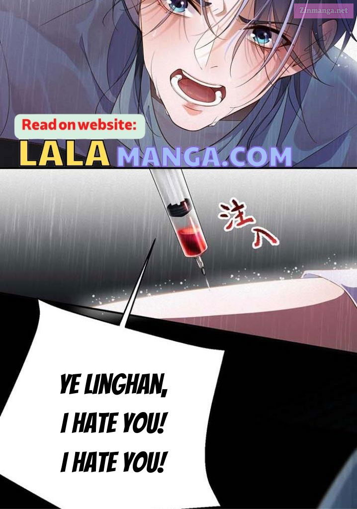 My Ex-Husband Wants To Remarry Again Chapter 1 page 41 - MangaKakalot