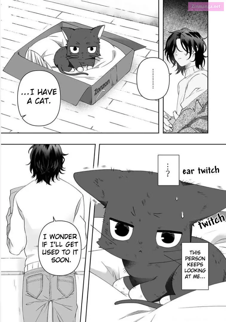 Neko ni wa Neko no Neko Gohan Chapter 1 page 12 - MangaKakalot