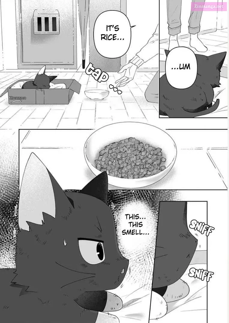 Neko ni wa Neko no Neko Gohan Chapter 1 page 13 - MangaKakalot