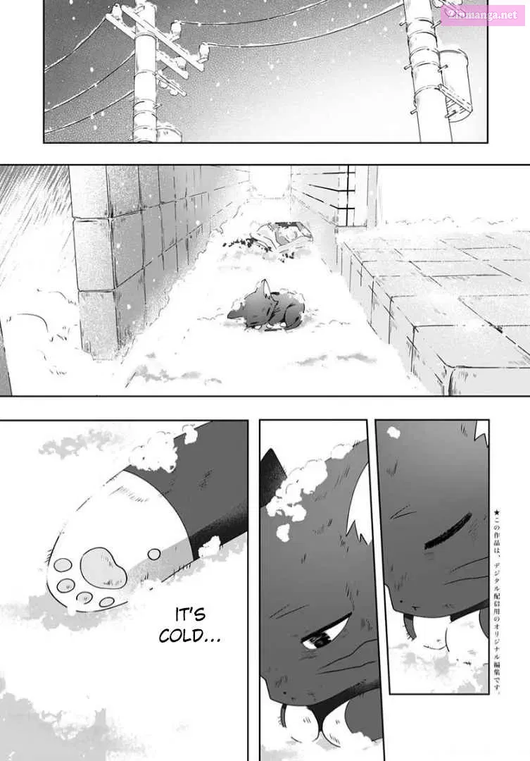 Neko ni wa Neko no Neko Gohan Chapter 1 page 4 - MangaKakalot