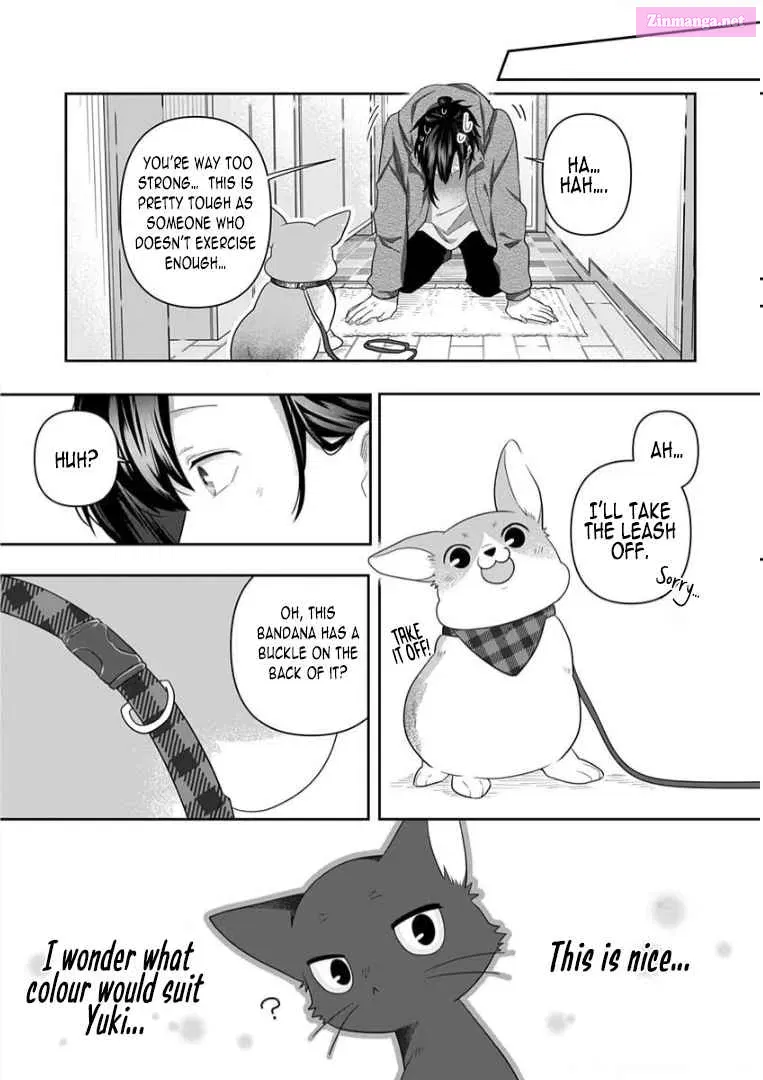 Neko ni wa Neko no Neko Gohan Chapter 11 page 8 - MangaNato