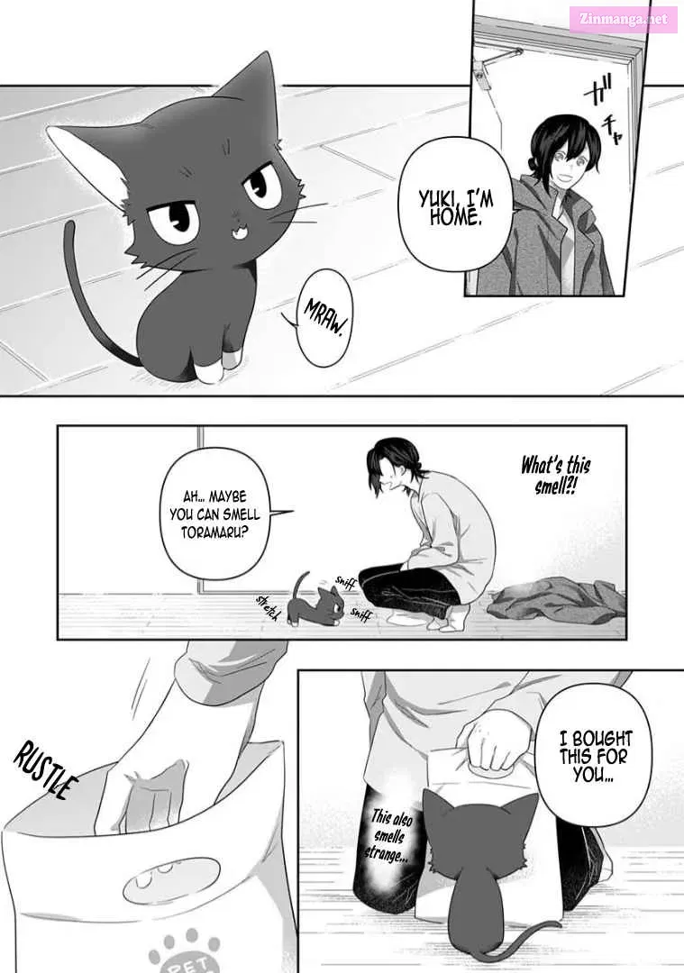 Neko ni wa Neko no Neko Gohan Chapter 11 page 10 - MangaNato