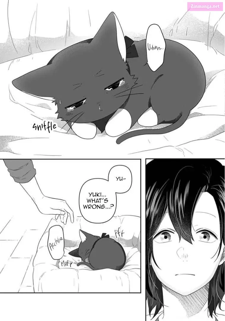 Neko ni wa Neko no Neko Gohan Chapter 12 page 12 - MangaNato