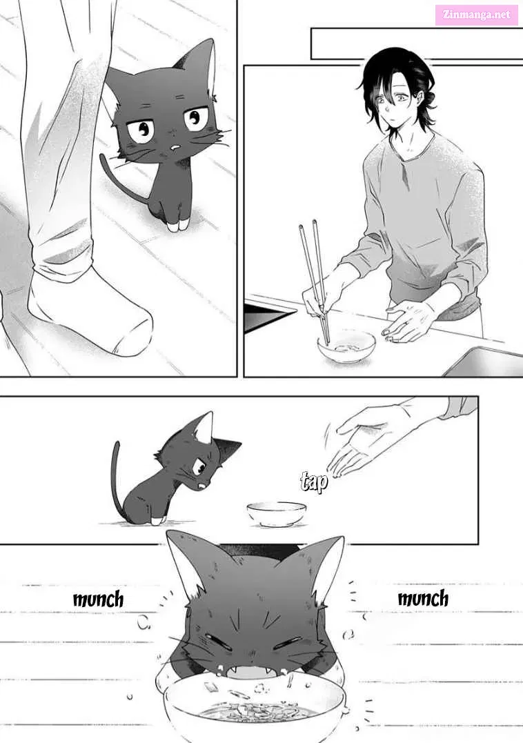 Neko ni wa Neko no Neko Gohan Chapter 3 page 8 - Mangabat