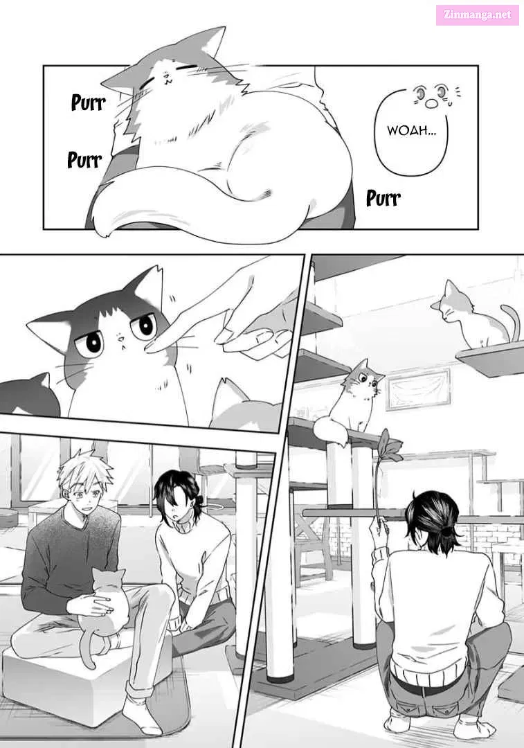 Neko ni wa Neko no Neko Gohan Chapter 5 page 11 - MangaKakalot