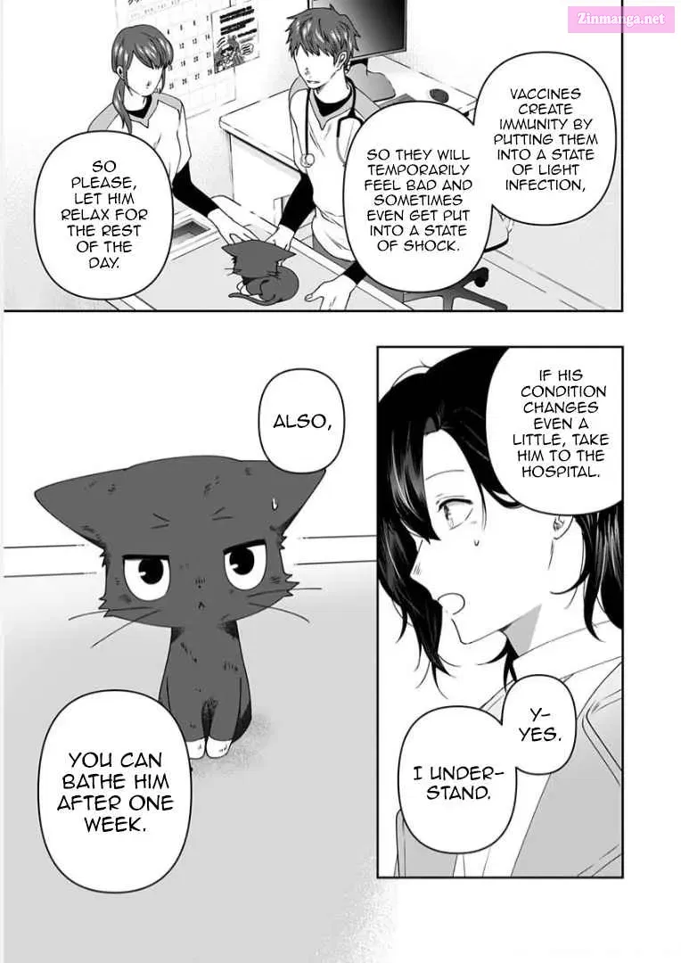 Neko ni wa Neko no Neko Gohan Chapter 6 page 11 - MangaKakalot