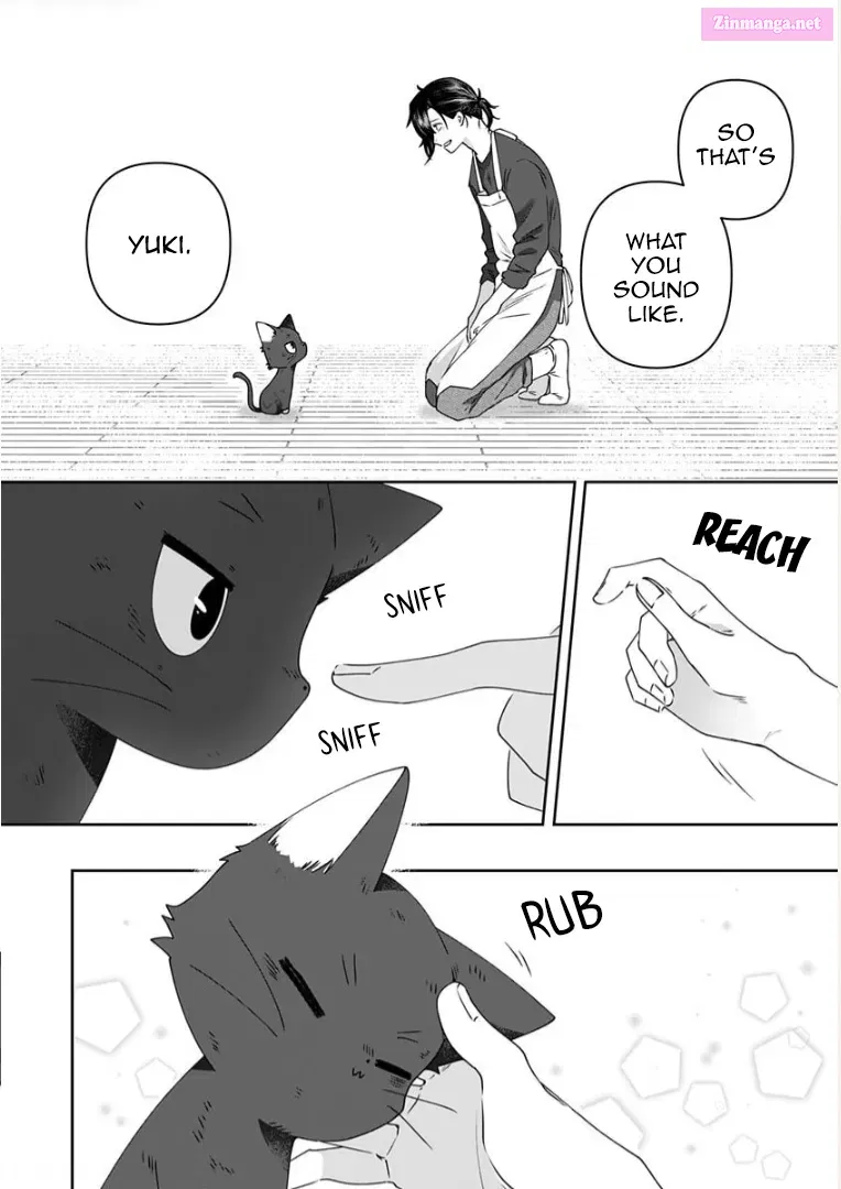 Neko ni wa Neko no Neko Gohan Chapter 6 page 6 - MangaKakalot