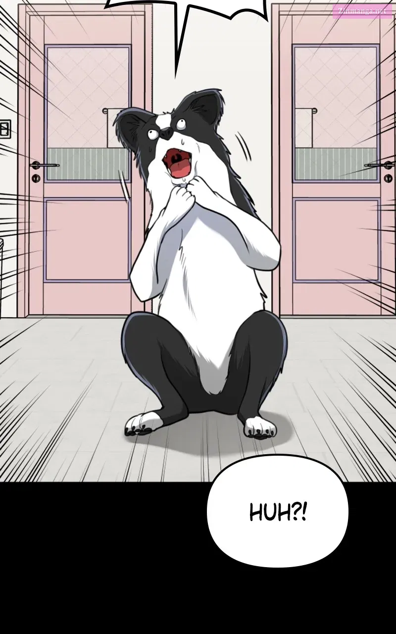 Paw-ther Knows Best Chapter 34 page 25 - MangaKakalot