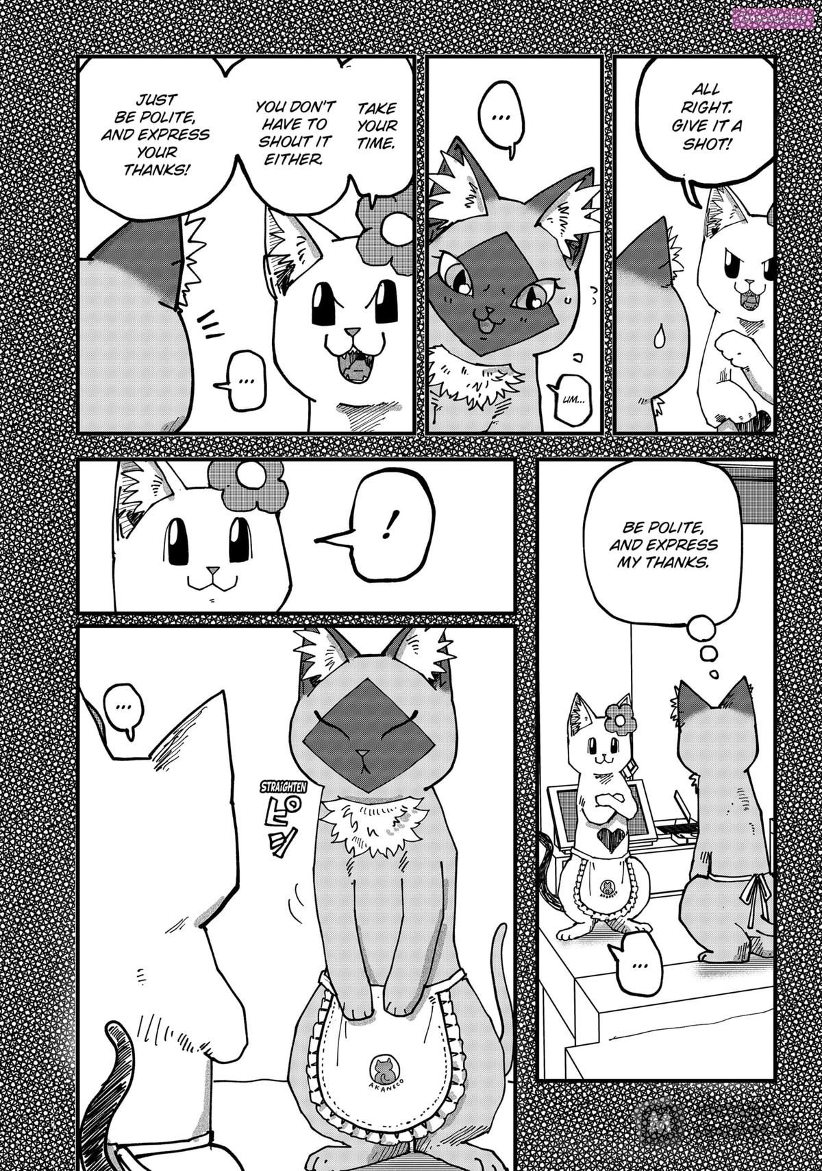 Red Cat Ramen Chapter 116 page 10 - MangaKakalot