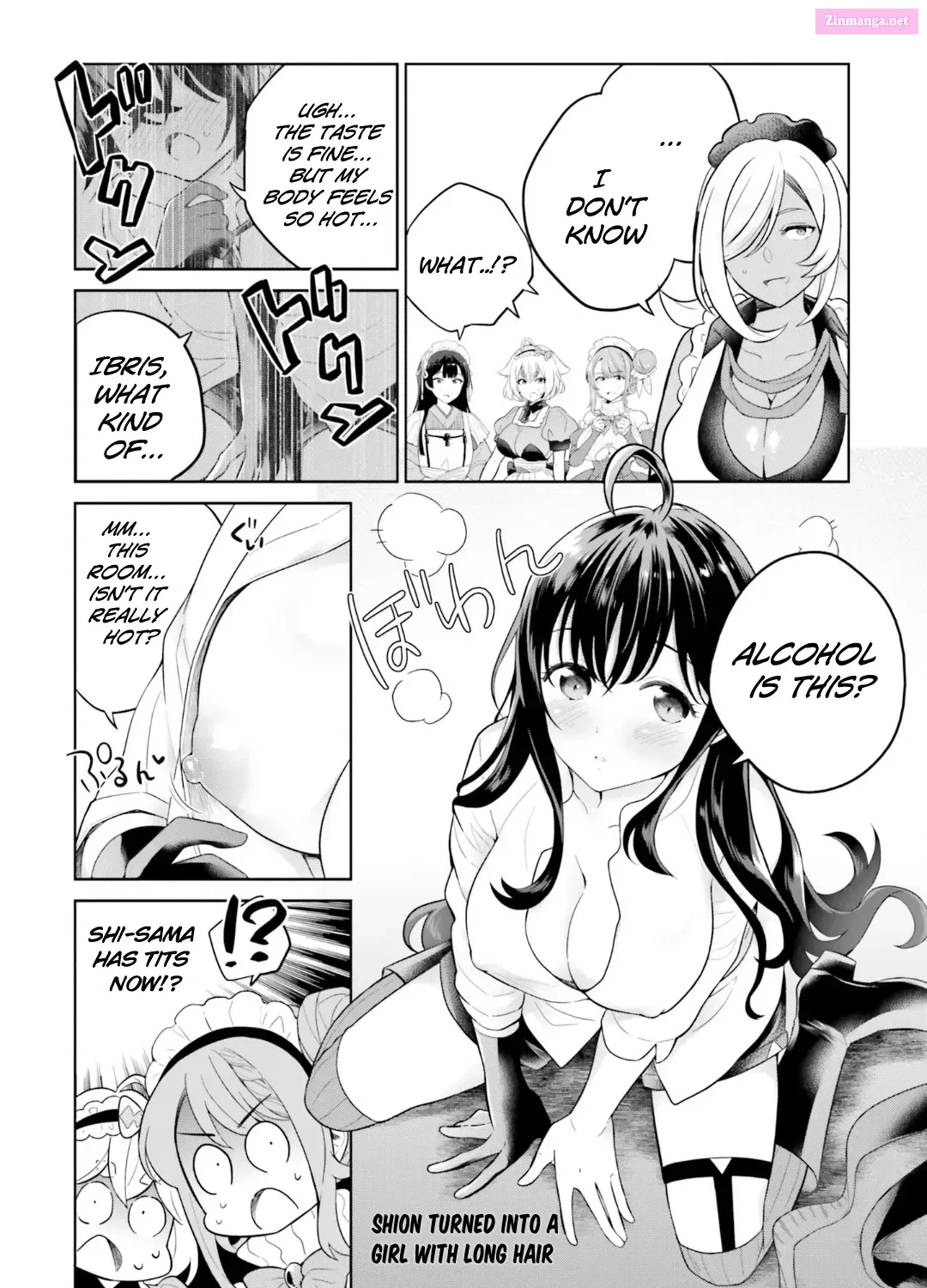 Shindou Yuusha to Maid Onee-san Chapter 27.5 page 5 - MangaNato