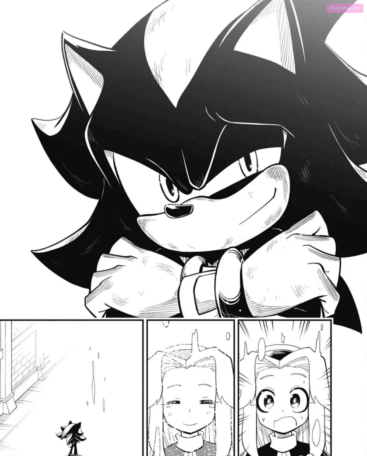 The Jet Black Hedgehog: Shadow The Hedgehog Chapter 6 page 50 - MangaNato