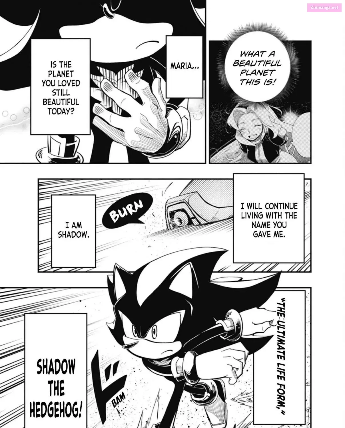 The Jet Black Hedgehog: Shadow The Hedgehog Chapter 6 page 54 - MangaNato