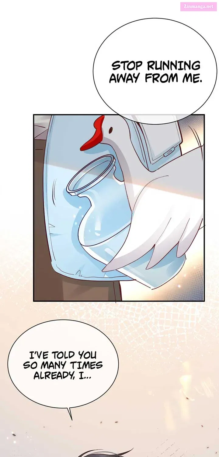 The Little Secret of the Big White Goose Chapter 3 page 6 - MangaKakalot