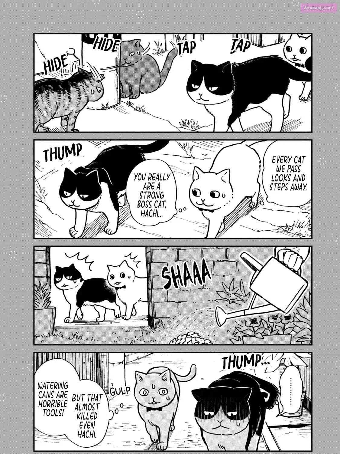 Tsureneko:  Maruru to Hachi Chapter 1.1 page 3 - MangaKakalot