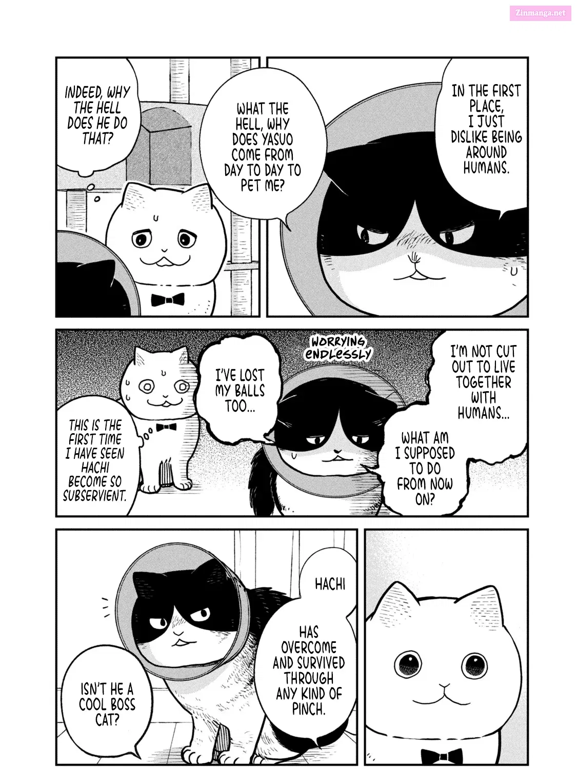 Tsureneko:  Maruru to Hachi Chapter 16 page 4 - MangaKakalot