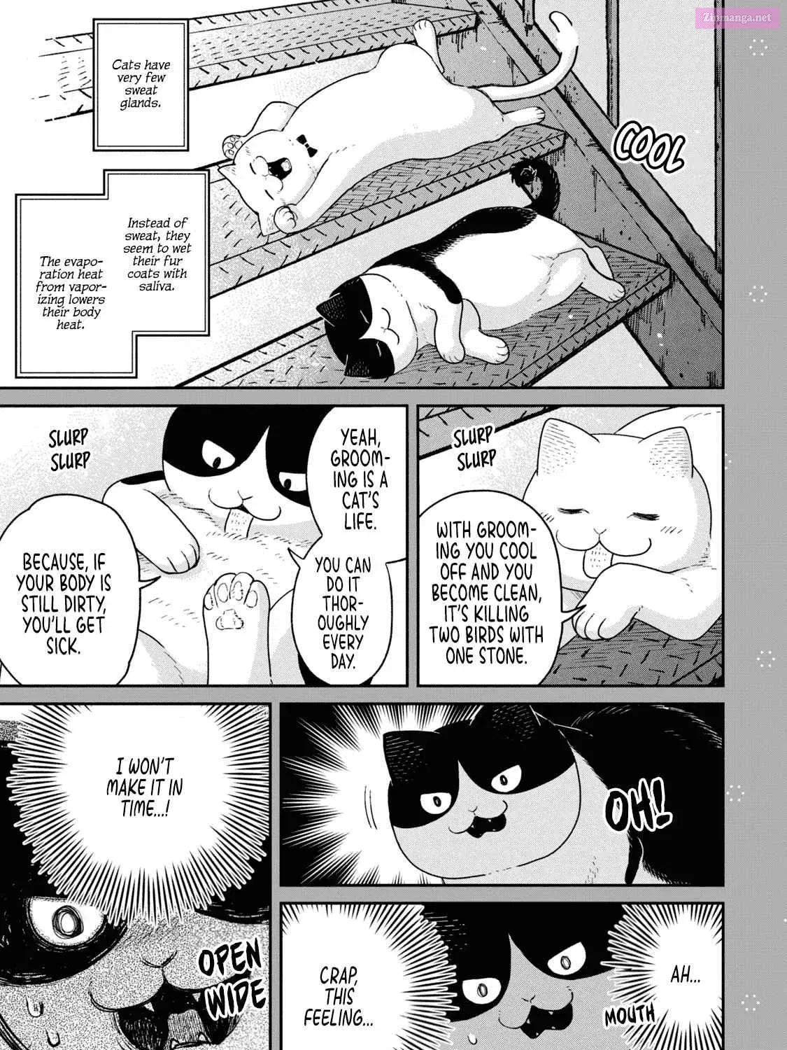 Tsureneko:  Maruru to Hachi Chapter 18.1 page 15 - MangaKakalot