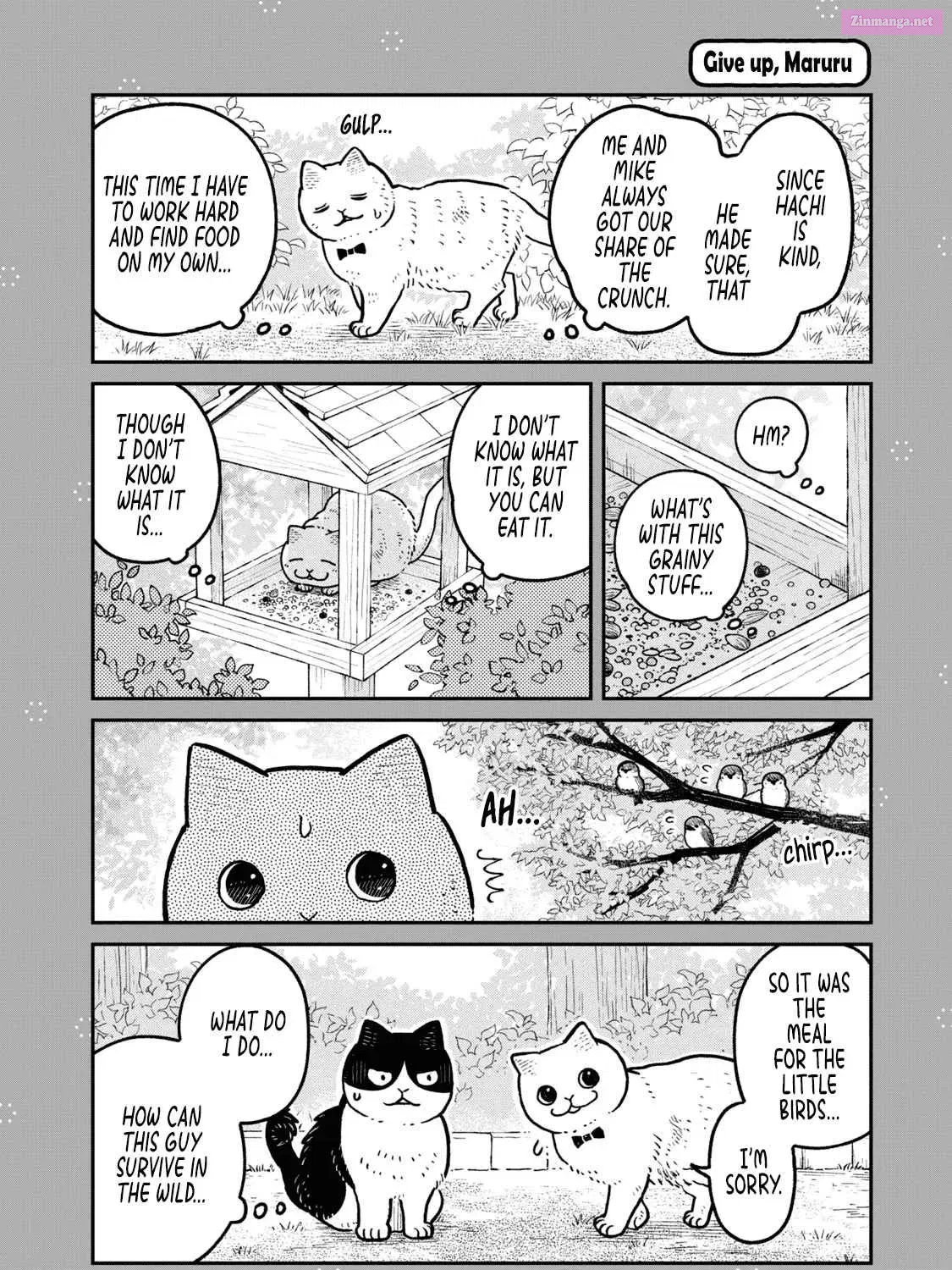 Tsureneko:  Maruru to Hachi Chapter 18.1 page 9 - MangaKakalot