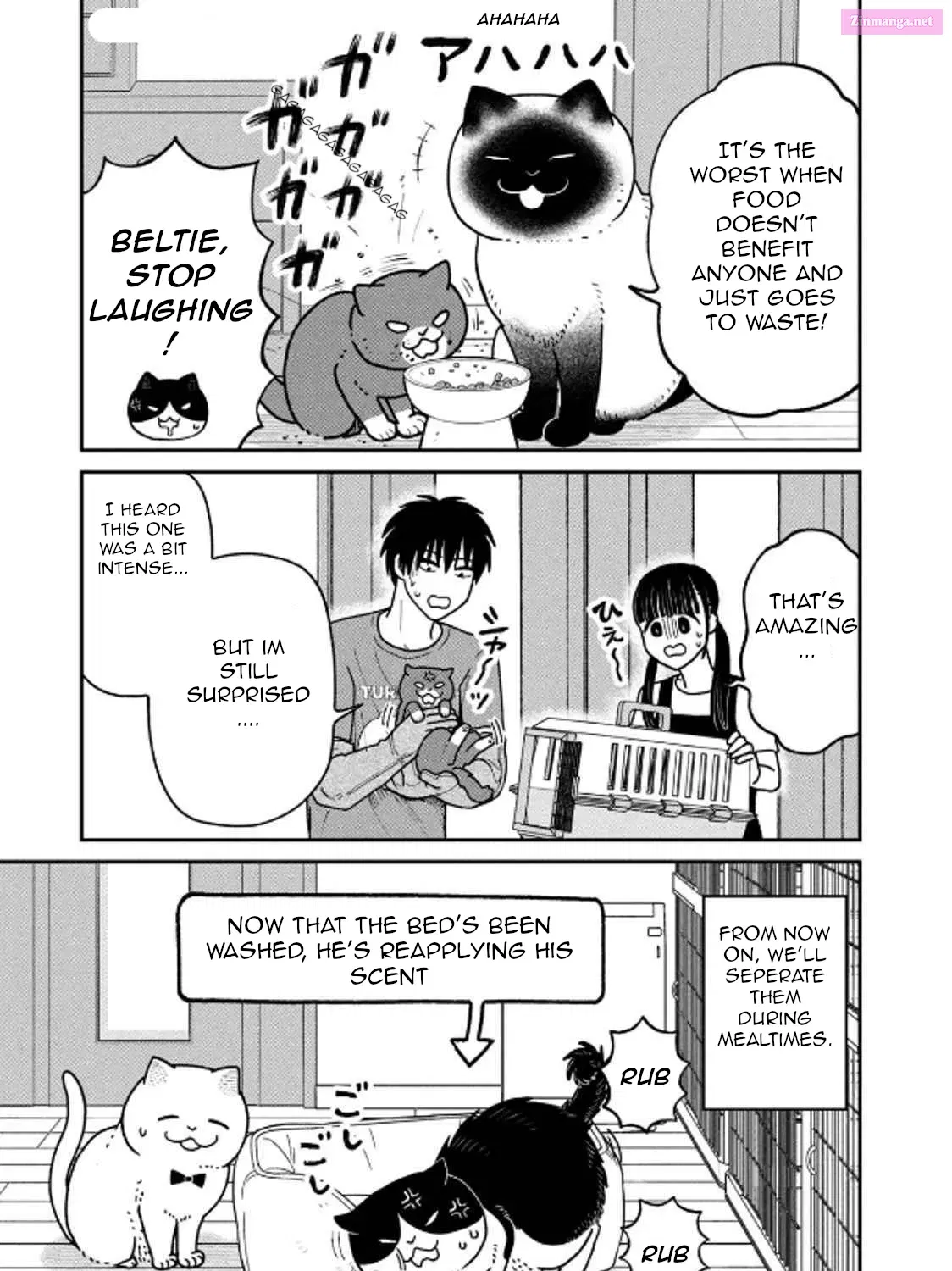 Tsureneko:  Maruru to Hachi Chapter 29 page 33 - MangaKakalot