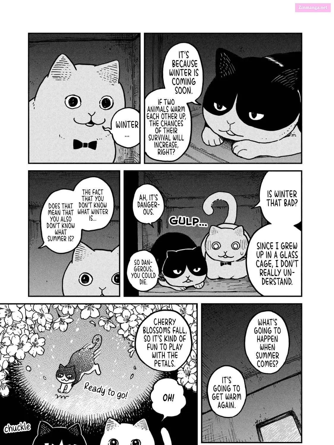 Tsureneko:  Maruru to Hachi Chapter 3 page 6 - MangaKakalot