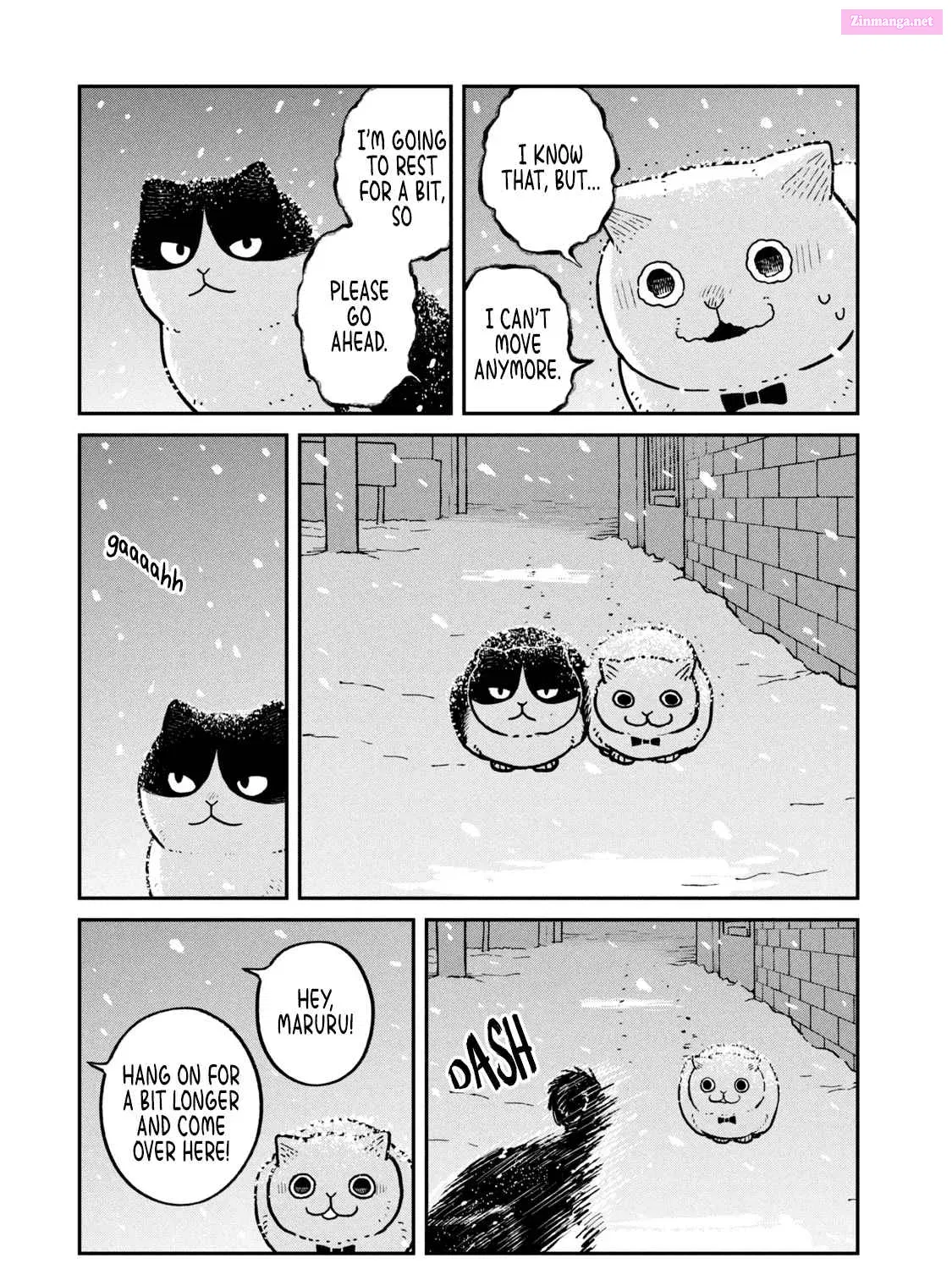 Tsureneko:  Maruru to Hachi Chapter 7 page 6 - MangaKakalot