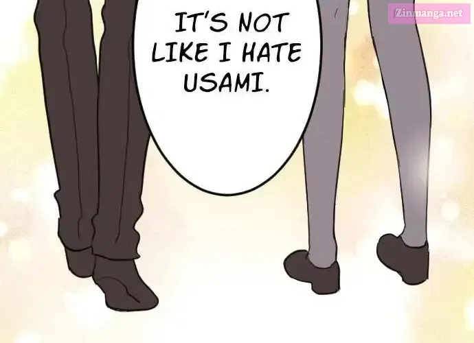 Usami