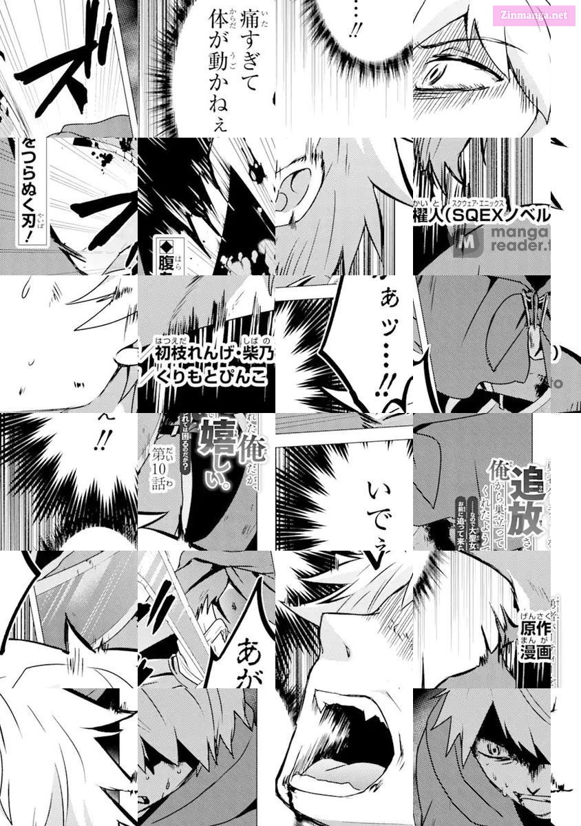 Yuusha Party Wo Tuihou Sareta Ore Daga, Ore Kara Sudatte Kuretayoude Ureshii. Nanode Daiseijo, Omae Ni Otte Korarete Ha Komarunodaga? Chapter 10 page 1 - MangaNelo