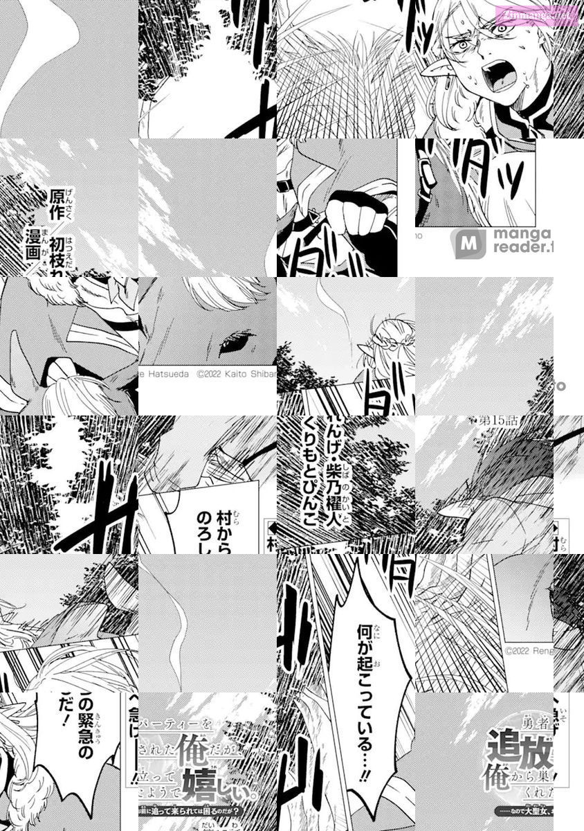 Yuusha Party Wo Tuihou Sareta Ore Daga, Ore Kara Sudatte Kuretayoude Ureshii. Nanode Daiseijo, Omae Ni Otte Korarete Ha Komarunodaga? Chapter 15 page 1 - MangaNelo